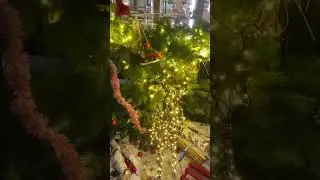 Праздник скоро🌲