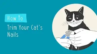 How to Trim Your Cat's Nails | Pet Parenting 101