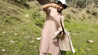 Big baam fish..Huge Eel,,hook fishing, village fishing