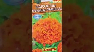 💥💥💥Внимание! Собираю заказы по закупке:  🌸БАРХАТЦЫ - семена от Сибирского садовода