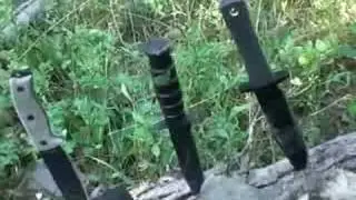 The Nutnfancy 