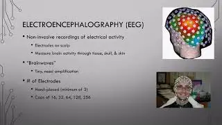 12 Neuro Methods Pt2