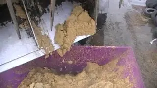 Пивная дробина. Закладка сырой пивной дробины