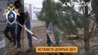 Аллея памяти