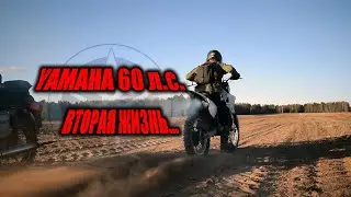 YAMAHA 60 сил. Вторая жизнь!
