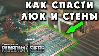 КАК СПАСТИ СТЕНЫ И ЛЮКИ ОТ ПРОПИЛА! Контрим Термита | Гайд для новичков | Rainbow Six Siege
