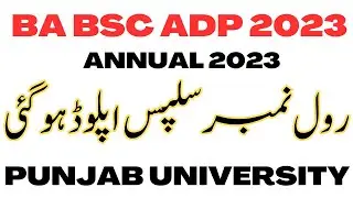 BA BSc ADP Annual 2023 Roll No Slips Download PU