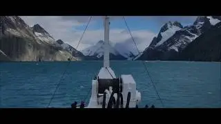 Discover South Georgia