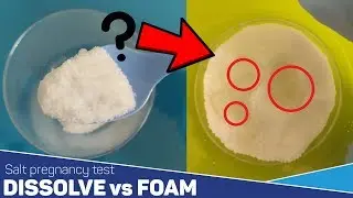 Salt Pregnancy Test Salt Doesn't Dissolve And Foam ✅  This Is The Reason 👈