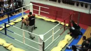 Alexander Johansson vs Johan Emanuelsson, Gladius Adrenaline 11