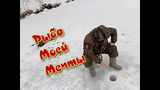 Рыба моей мечты.