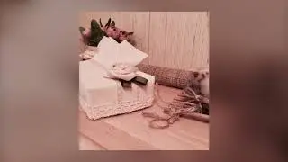 Бокс для салфеток