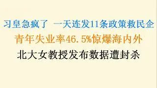 习皇急疯了，一天连发11条政策想起死回生民营经济！青年失业率46.5%惊爆海内外，北大美女教授发布数据遭封杀！会消失吗？(20230719第1078期)
