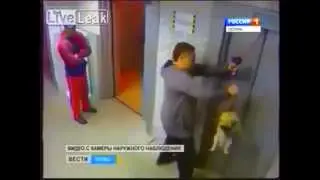 Спас собаку