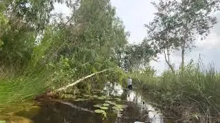 HOA RUNG FARMSTAY - U MINH- CA MAU