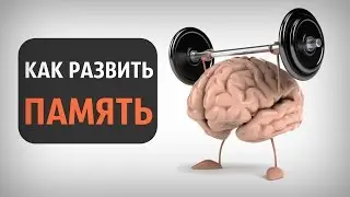 9 Secrets How to Develop and Improve MEMORY