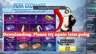 Downloading. Please try again later.pubg problem 