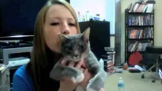 The Cute Thing My Cat Does
