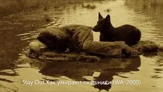 Stay Out   Stalker-Online Как умирают 