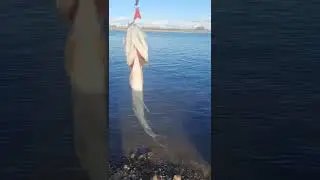 Красота