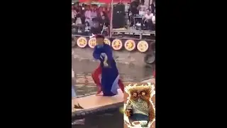 Приколы: Кунг фу под Витас))))))