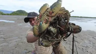 Today, I Found Huge Mud Crabs at Mud Beach after Water Low Tide