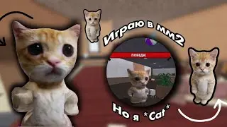 😽Играю в мм2 но я *Cat*😽 ||El gato|| #mm2