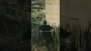 mimic moment