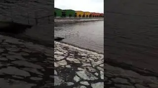 小海獺@榜鵝。