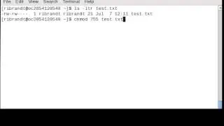Linux Command (Chmod)