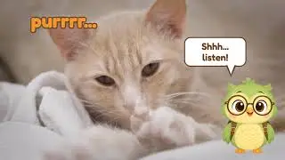Why Do Cats Purr? 🐱 | Fun Animal Facts for Kids | Hoot & Wonder