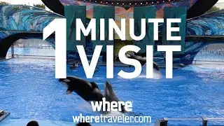 1-Minute Visit: SeaWorld