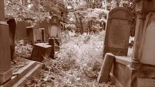 Okopowa Jewish Cemetery in Warsaw