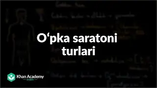 Oʻpka saratoni turlari | Oʻpka saratoni | Tibbiyot
