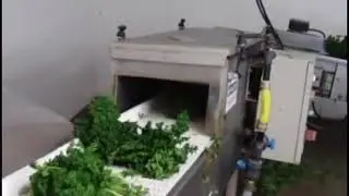 Пучки зелени, автоматическая обвязка