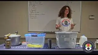 Mastering the Monotub: Ultimate Mushroom Growing Workshop