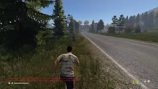 80 ppl in 1 server DayZ