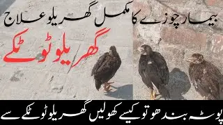 Bimar Chozay Ka ilaj Karen Gar main he// Gharelo totkay Sy ilaj// With Mr. R