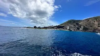 A fun day with friends on the Ocean Surfari charter boat!