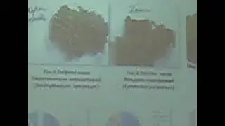 Новак Єлизавета  Вивчення екологічних груп мохів в екосистемі міста