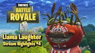 Llama Laughter in Fortnite Battle Royale (Fortnite Battle Royale Highlights)
