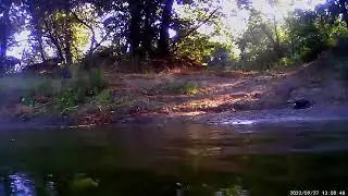 Подводная съёмка: первый опыт с собакой - Underwater photography: first experience with a dog