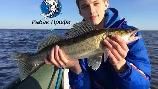 Ловля троллингом на Рыбинском водохранилище.....Рыбак Профи