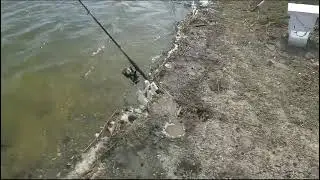 Рыбалка не реке Койсуг