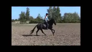 Princess 31 08 16