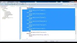Switch Statement Java Tutorial