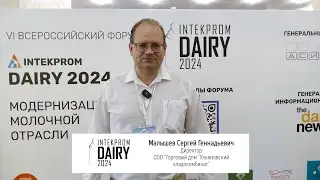 Малышев Сергей Геннадьевич, директор ООО 