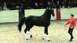 Joeris (Ferro)