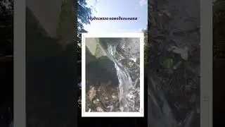 Родник недалеко от моего дома. Недалеко - это километров 6. Пусть ваша жизнь будет чистой, как вода