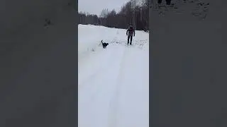 Котик Вася идёт за нами до автобуса.🐈‍⬛🐈‍⬛🐈‍⬛🐈‍⬛🐈‍⬛
